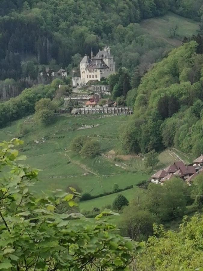 Maisonnette Talloires-Montmin Exterior foto